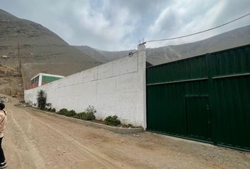 Local comercial en  C. Los Cerezos, Puente Piedra, Perú