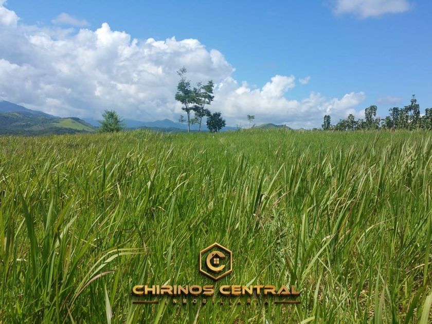 venta Terreno en Tarapoto, San Martin (TERV0001)