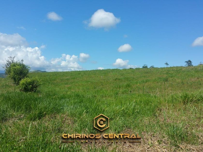 venta Terreno en Tarapoto, San Martin (TERV0001)