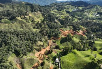 Lote de Terreno en  La Ceja-montebello, El Retiro, Antioquia, Col