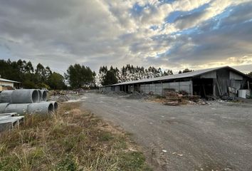 Bodega en  La Unión, De Ranco