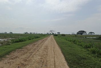 Terreno Comercial en  Buijo Histórico, Samborondón, Ecuador