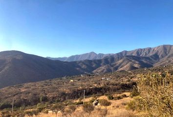 Parcela en  Camino La Aurora, Curacaví, Chile