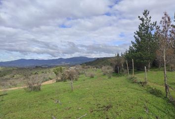 Parcela en  Hualañé, Chile