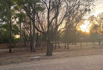 Lote de Terreno en  Prolongación La Luz, El Carmen, León, Guanajuato, 37299, Mex