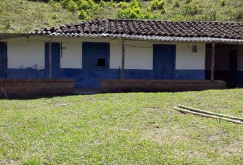 Lote de Terreno en  El Tesoro Del Peluquero, Carrera 46 49, La Candelaria, Medellín, Antioquia, Col
