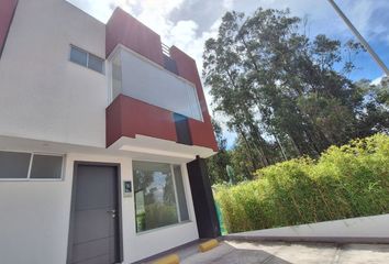 Casa en  Panzaleo & Abdón Calderón G., Quito, Ecuador