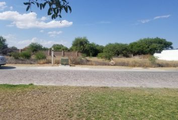 Lote de Terreno en  Alquerias De Pozos, San Luis Potosí, México