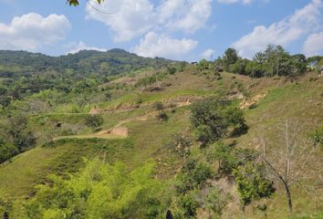 Lote de Terreno en  San Rafael, Antioquia, Colombia