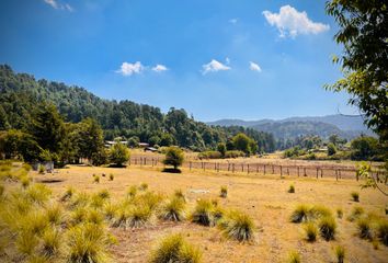 Lote de Terreno en  51245 Los Saucos, Méx., México