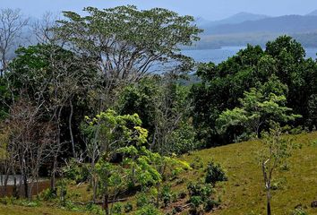 Lotes y Terrenos en  Mendoza, La Chorrera, Panamá Oeste, Pan