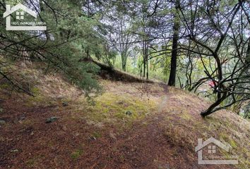 Lote de Terreno en  Mineral Del Chico, Hidalgo