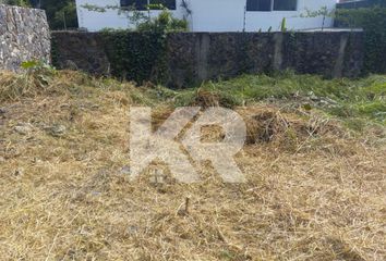 Lote de Terreno en  Lomas De Vista Hermosa, Cuernavaca, Morelos, México