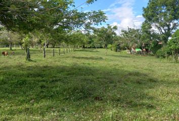 Lote de Terreno en  Montenegro, Quindío, Colombia