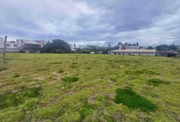 Terreno Comercial en  Calderón, Quito