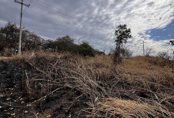Lote de Terreno en  Tlayacapan, Morelos, México