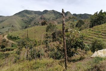 Villa-Quinta en  San Vicente, Antioquia, Colombia