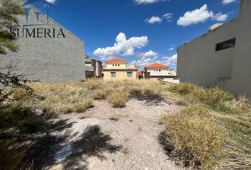 Lote de Terreno en  Diamante Reliz, Chihuahua, México