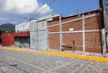 Nave en  San Martín, Tepotzotlán