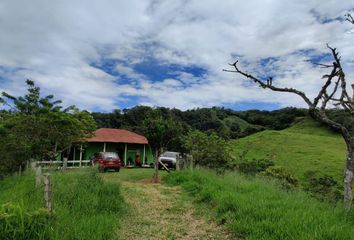 Lote de Terreno en  Vereda Aceros Y Pital, Guaduas, Cundinamarca, Colombia