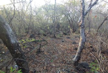 Lote de Terreno en  Quinta Brisas Temixco, Brisas De Veracruz, Brisas, Temixco, Morelos, México