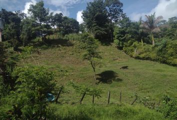 Lote de Terreno en  Ebéjico, Antioquia, Colombia