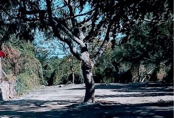 Lote de Terreno en  Santa Cruz De La Soledad, Jalisco, México