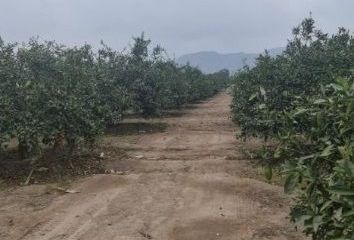 Terreno en  Huaral Distrito, Huaral