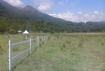 Lote de Terreno en  Circuito Ajusco, San Miguel Ajusco, Tlalpan, Ciudad De México, 14700, Mex