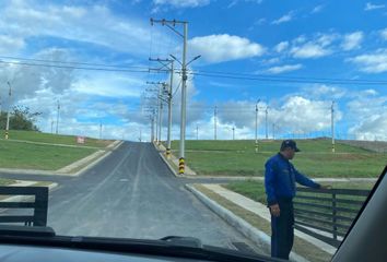 Lote de Terreno en  Mirador Del Palmar Conjunto Residencial, Carmen De Apicalá, Tolima, Colombia