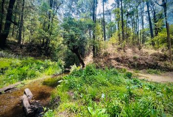 Lote de Terreno en  Carretera, San Gaspar, Valle De Bravo, México, 51247, Mex