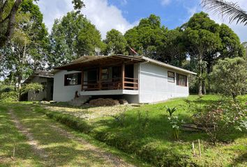 Casa en  29 Finlandia 83-87, Filandia, Quindío, Col