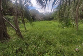 Lote de Terreno en  Ciruela, Sopetrán, Antioquia, Colombia