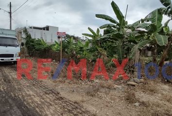 Terreno Comercial en  San Ramón, Elaine Ramòn, Machala, Ecuador