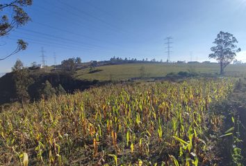 Terreno Comercial en  Calderón, Quito