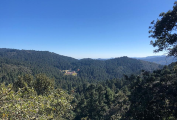 Lote de Terreno en  Mineral Del Chico, Estado De Hidalgo, México