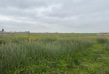 Terreno en  Panamericana Sur, Tambo De Mora, Perú