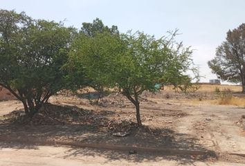 Lote de Terreno en  Maravillas, Jesús María, Aguascalientes