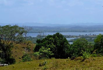 Lotes y Terrenos en  Mendoza, La Chorrera, Panamá Oeste, Pan