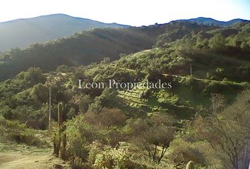 Parcela en  Condo Los Bosques De Miraflores, Curacavi, Curacaví, Chile