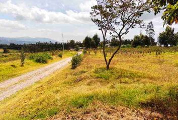 Terreno Comercial en  Puembo, Ecuador