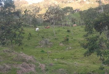 Lote de Terreno en  Cocorná, Antioquia, Colombia