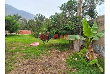 Terreno en  La Hacienda I, Pachacamac, Perú