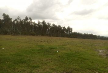 Terreno Comercial en  Yaruquí, Ecuador