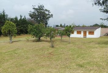 Hacienda-Quinta en  Puembo, Ecuador