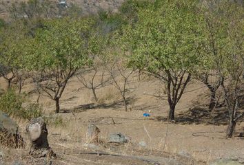 Parcela en  Curacaví, Melipilla