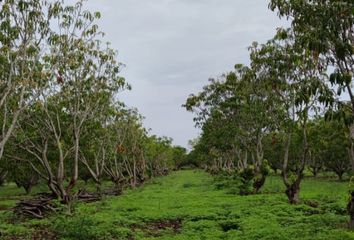 Lote de Terreno en  Q485+fc7 Plataforma, Oaxaca, México