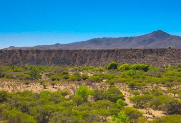Raíces de Ovalle