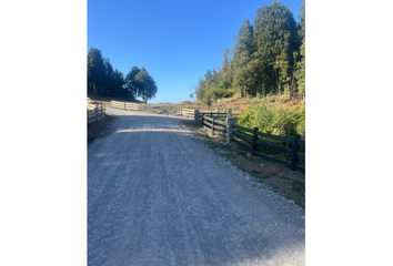 Pulelfu - El Encanto - Lago Rupanco - PUYEHUE